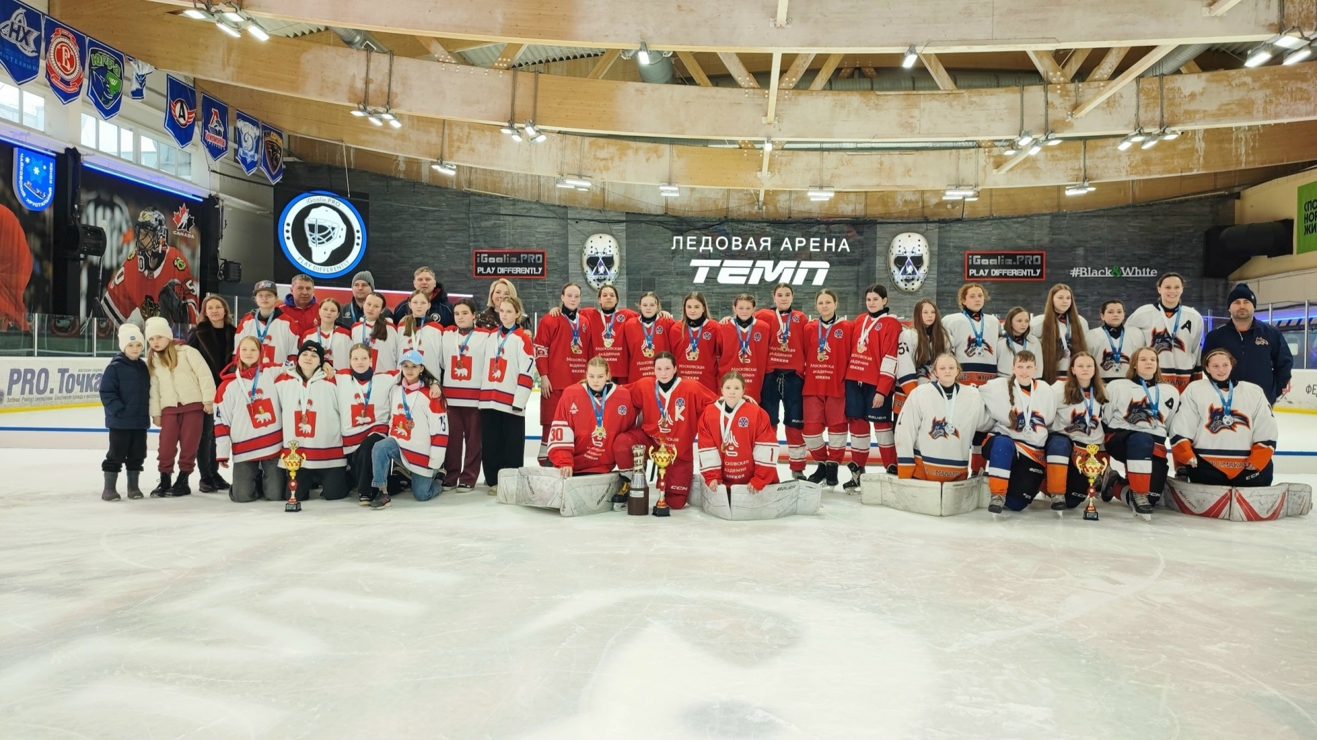 Бронза Россомах.jpg