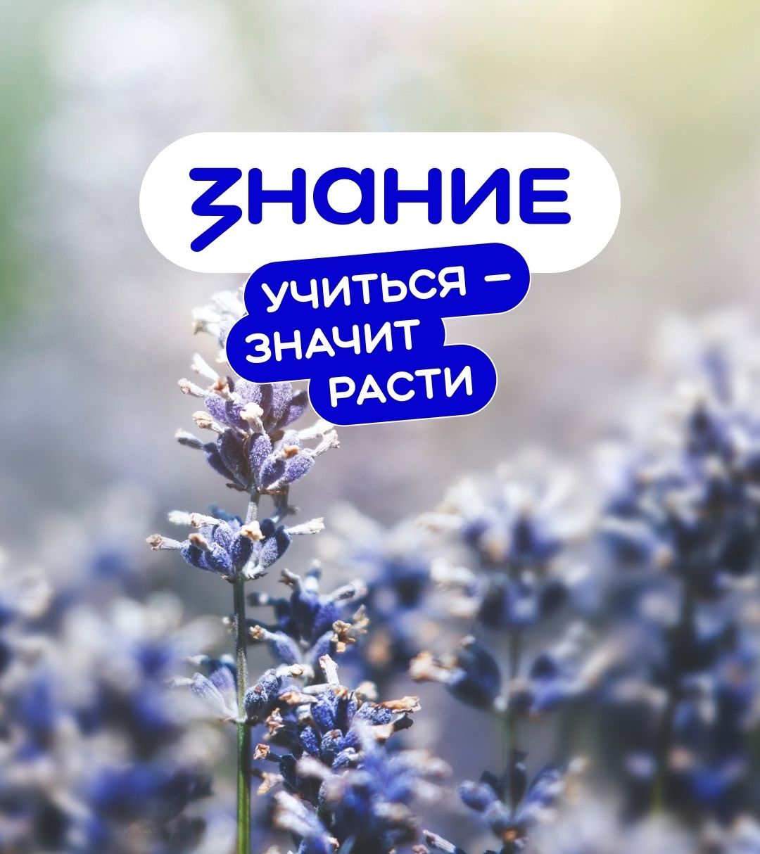 Знание 1