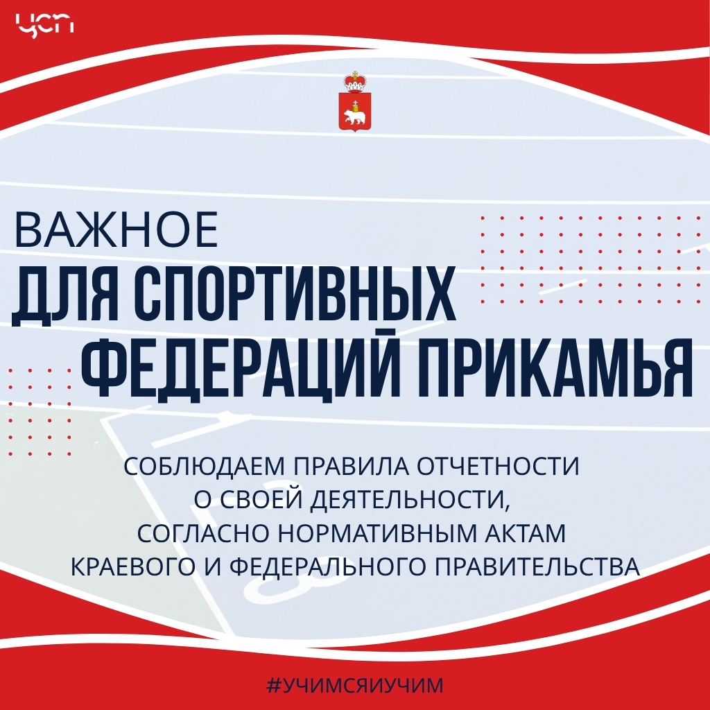 Отчетность федераций.jpg