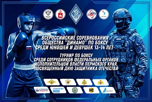 Неделя «Динамовского» бокса!