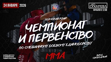 Чемпионат и Первенство Пермского края по ММА 2026
