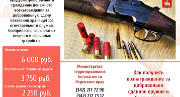 Краевое Министерство территориальной безопасности напоминает о добровольной сдаче оружия и боеприпасов