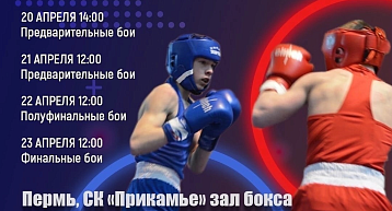 Определены победители Первенства Пермского края по боксу