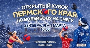 Кубок по волейболу на снегу!