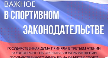 Принят закон о размещении государственного флага на спортивных объектах