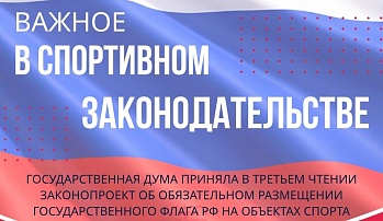 Принят закон о размещении государственного флага на спортивных объектах