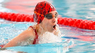 Весёлый дельфин 2026