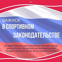 Принят закон о размещении государственного флага на спортивных объектах