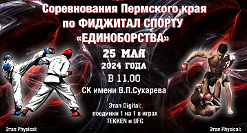 Краевые соревнования по фиджитал спорту в дисциплине "единоборства"