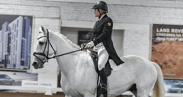 Кубок Перми по конкуру