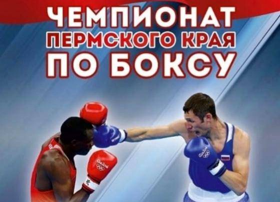 Чемпионат Пермского края по боксу