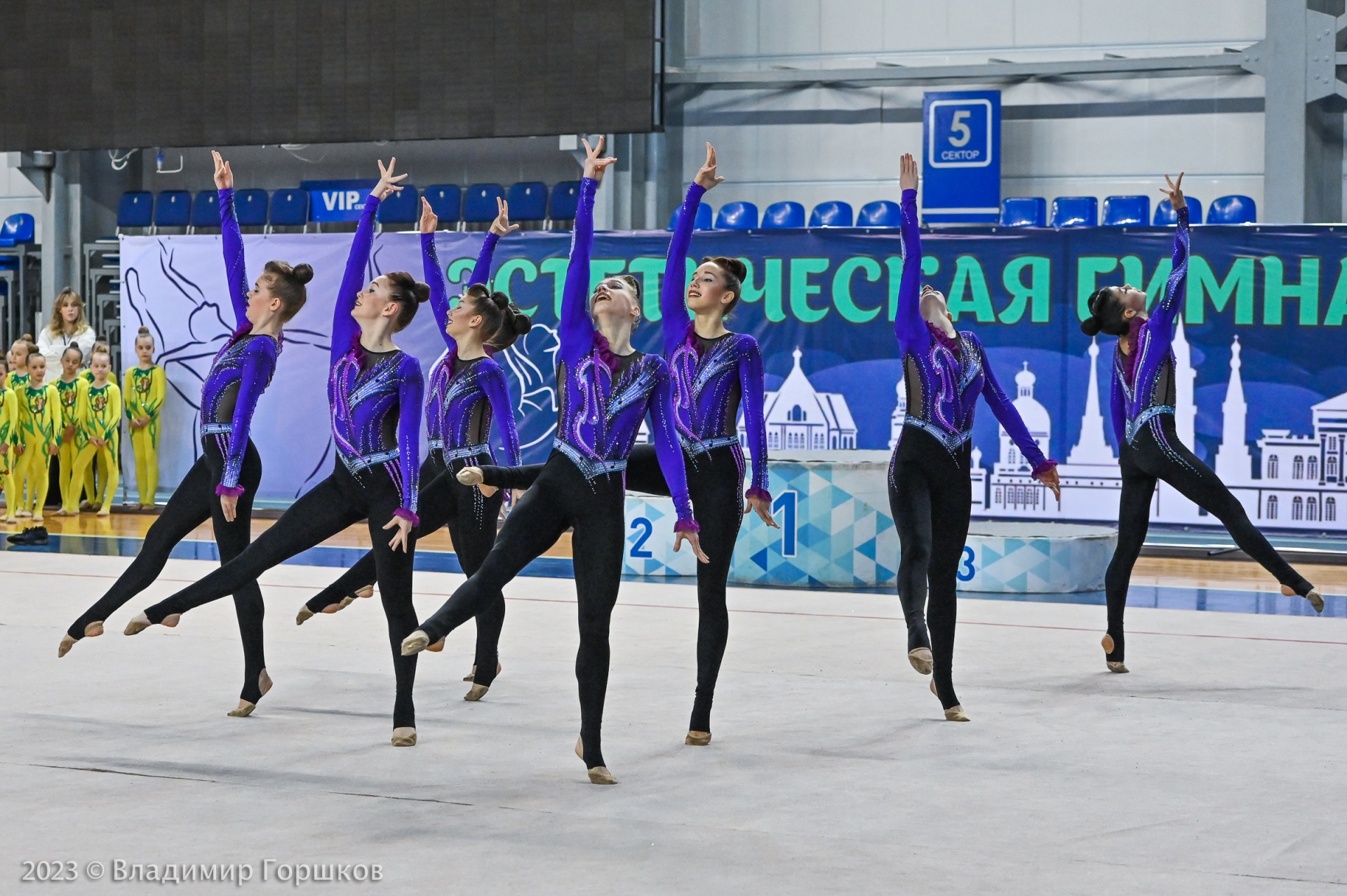 Екатерина Березина эстетическая гимнастика