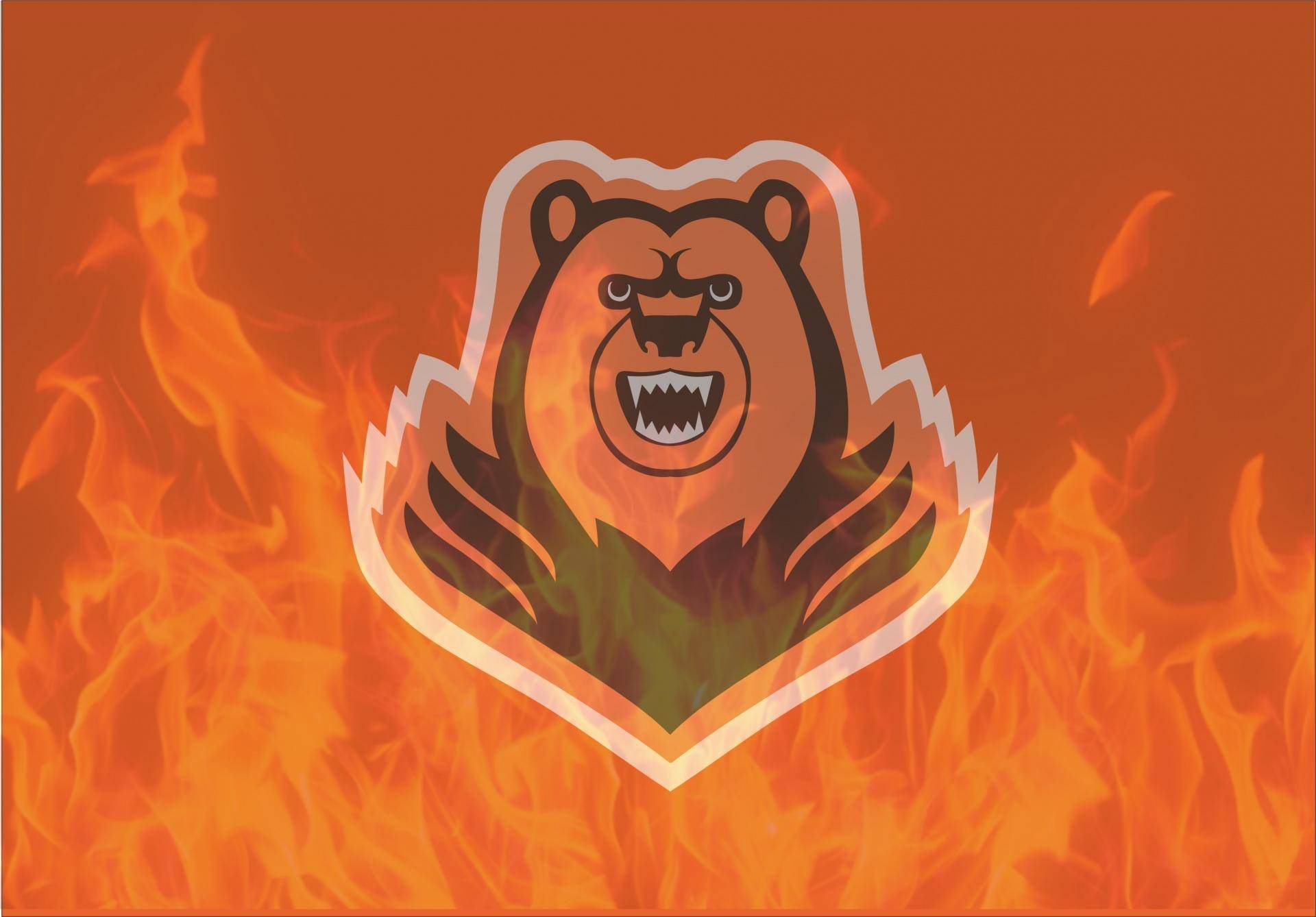 logo on fire.jpg