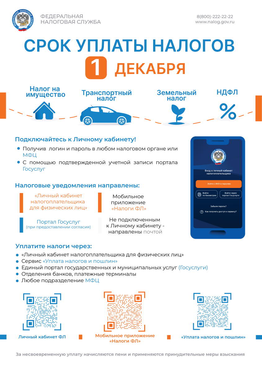 2025 налоги.jpg