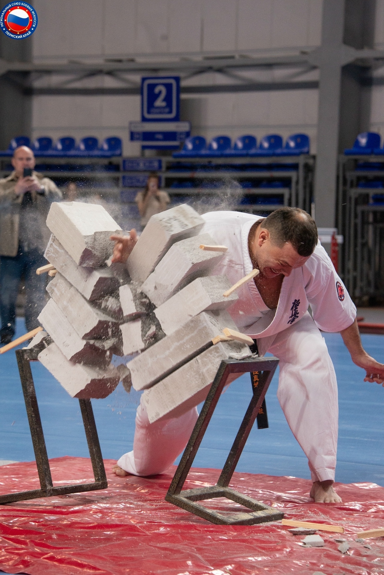 Алымов тамесевари.jpg