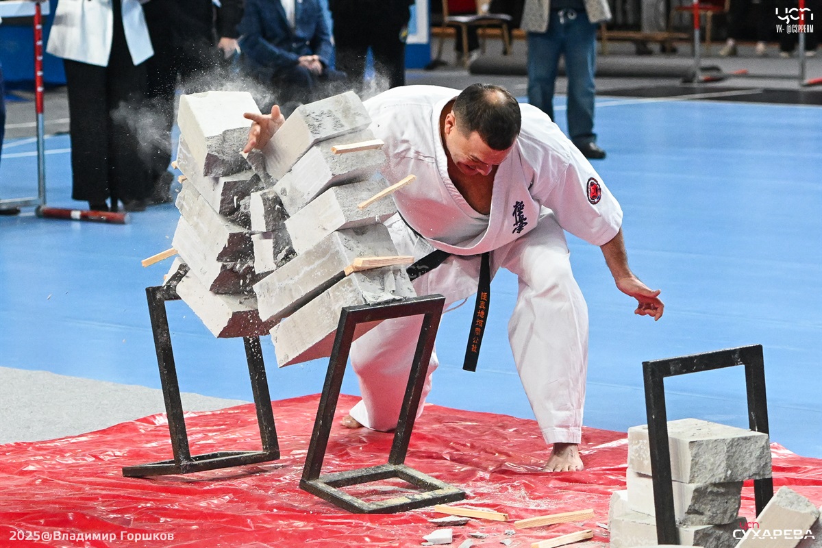 Кубок Защитников Отечества 2025