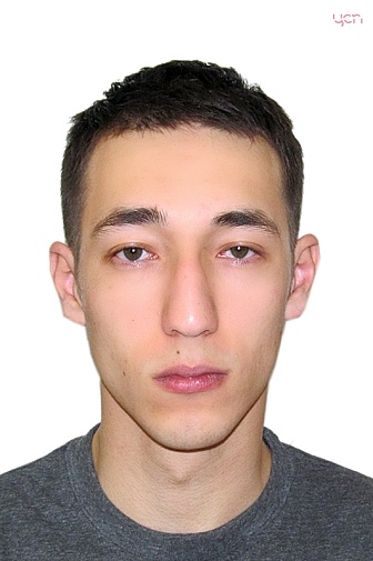 Волков Вячеслав Владимирович