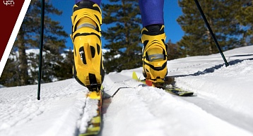 Прикамские спортсмены получили помощь от Федерации лыжных гонок