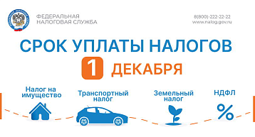 До 1 декабря - срок уплаты имущественных налогов!